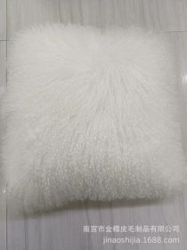 High-grade Fur Beach Wool Pillow (Option: White-45 X45cm Without Core)