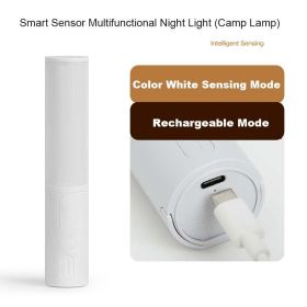 New Style Smart Human Body Induction Motion Sensor LED Night Light For Home Bed Kitchen Cabinet Wardrobe Wall Lamp (Option: Induction White Charging)