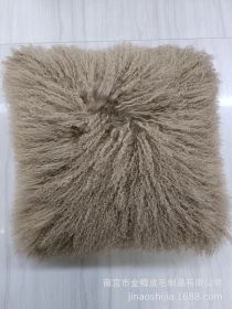 High-grade Fur Beach Wool Pillow (Option: Khaki-45 X45cm Without Core)