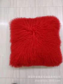 High-grade Fur Beach Wool Pillow (Option: Red-45 X45cm Without Core)