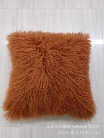 High-grade Fur Beach Wool Pillow (Option: Coffee-45 X45cm Without Core)