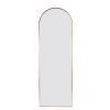 65 x 22 In Matel Arch Stand full-length mirror