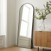 65 x 22 In Matel Arch Stand full-length mirror